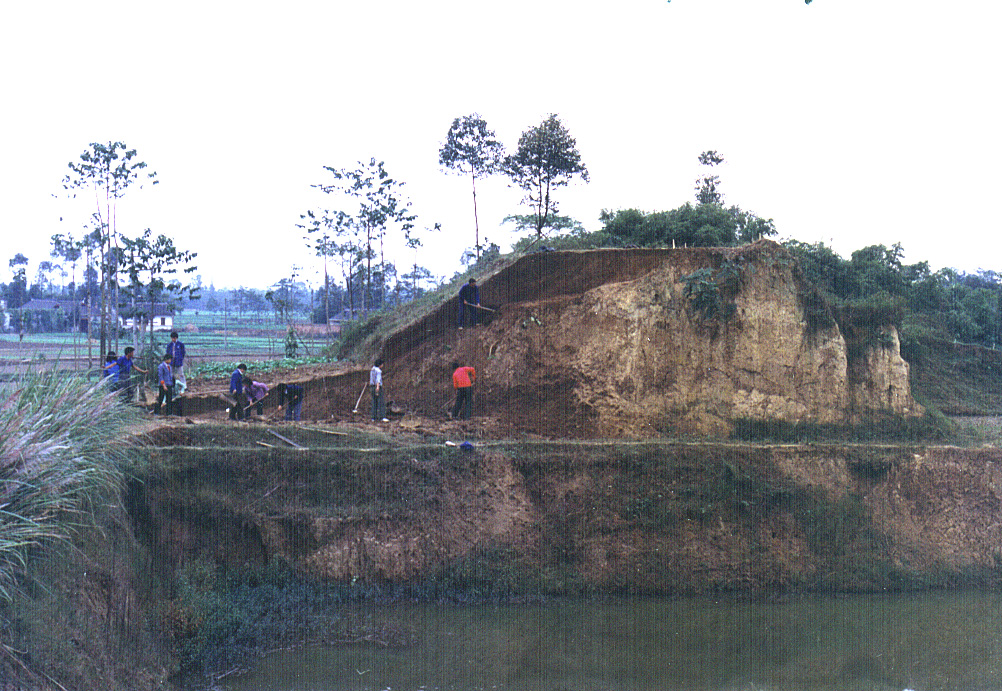 /uploads/image/2024/01/10/763e92a1313564c7e4dbe1a7c7f19d3a.png 22.png