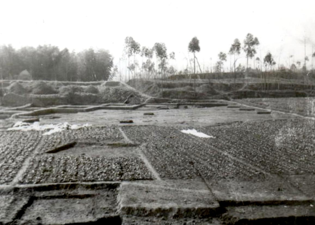 /uploads/image/2024/01/10/fadf3ea33087977961e7a90ee5934d1b.png 11.png